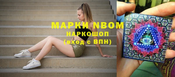 apvp Белокуриха